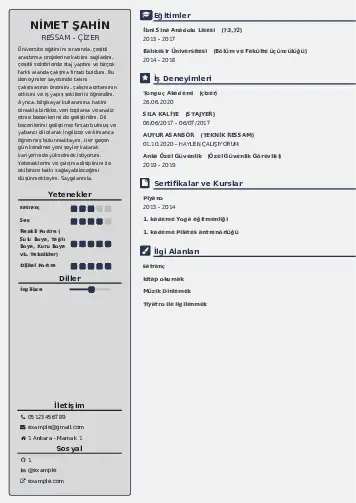 Ressam Cv Örnekleri cv indir